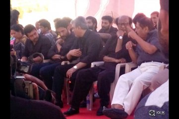 Tamil Actors Protest For Jallikattu